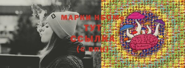 шишки Сатка
