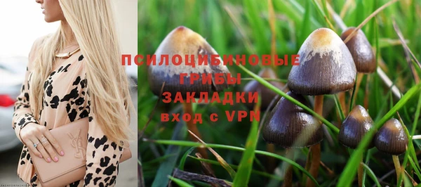 прущий лед Абдулино