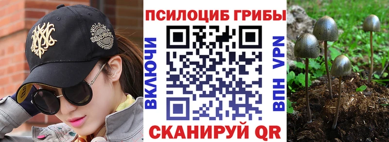 Галлюциногенные грибы Psilocybe  сколько стоит  Ирбит 